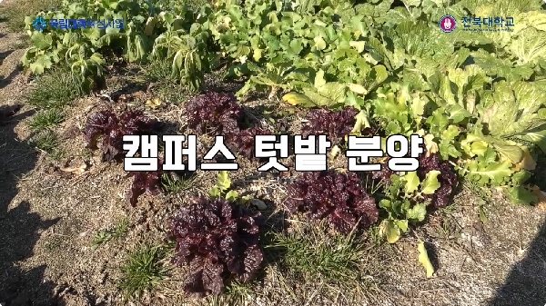 캠퍼스 텃밭 프로그램 대표이미지